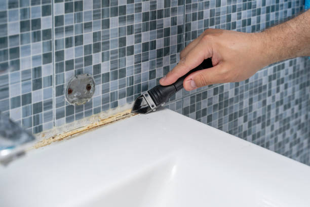 Best Kitchen Mold Remediation in Colby, WI
