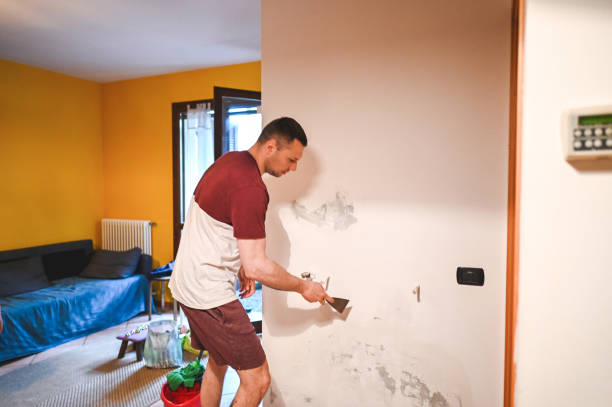 Best Black Mold Remediation in Colby, WI