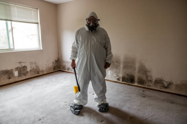 Best Mold Testing and Inspection Services in Colby, WI